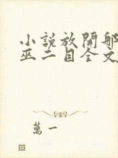 小说放开那个女巫二目全文阅读免费