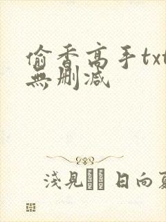 偷香高手txt无删减