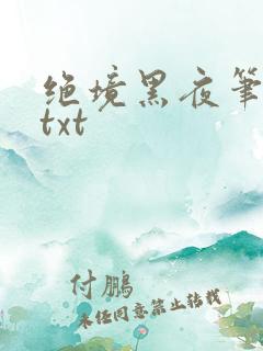 绝境黑夜笔趣阁txt