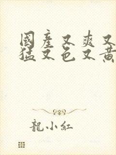 国产又爽又粗又猛又色又黄免费