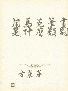 用马克笔画的画是什么类别