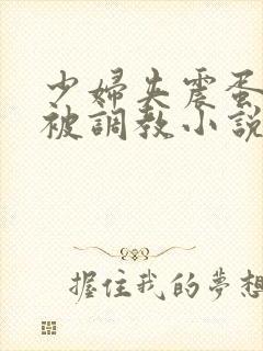 少妇夹震蛋上班被调教小说