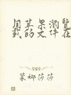 用苹果浏览器下载的文件在哪打开