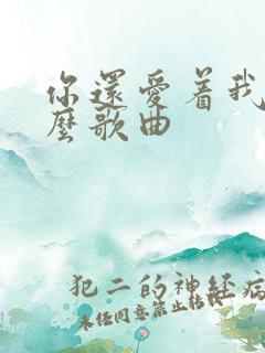 你还爱着我是什么歌曲