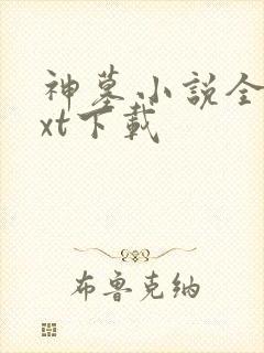 神墓小说全本txt下载