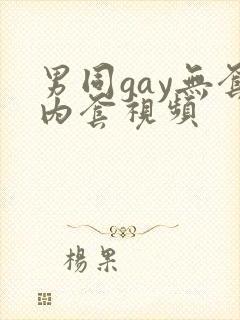 男同gay无套内套视频