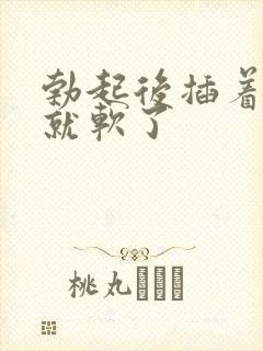 勃起后插着插着就软了