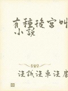 有种后宫叫德妃 小说