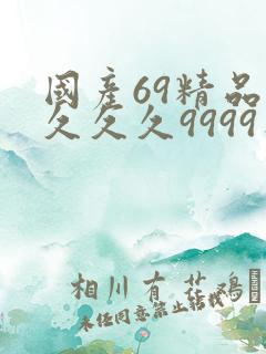 国产69精品久久久久9999不