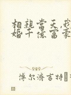 相亲当天,我闪婚千亿富豪小说最新