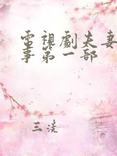 电视剧夫妻那些事第一部