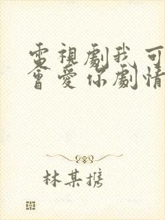 电视剧我可能不会爱你剧情介绍