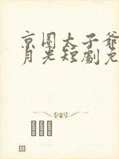 京圈太子爷的白月光短剧免费观看