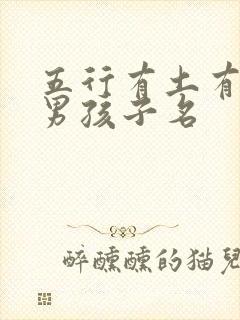 五行有土有木的男孩子名