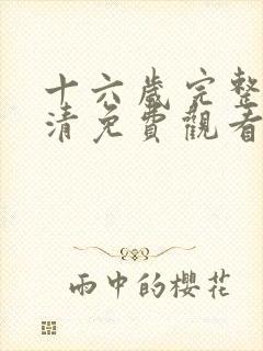 十六岁完整版高清免费观看动漫