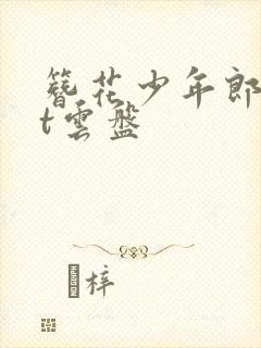 簪花少年郎txt云盘