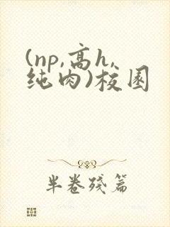 (np,高h,纯肉)校园