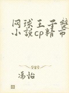 网球王子双男主小说cp精市