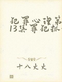 犯罪心理第二季13集罪犯抓住了没