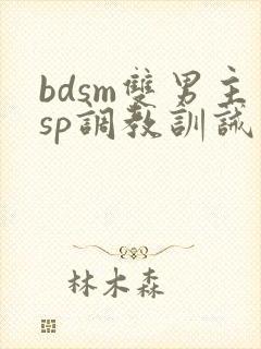 bdsm双男主sp调教训诫文