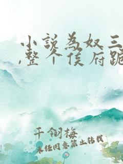 小说为奴三年后,整个侯府跪求我原谅