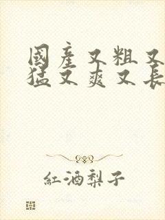 国产又粗又黄又猛又爽又长无遮挡