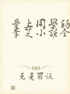 爱上同学的妈妈李芝小说全文阅读下