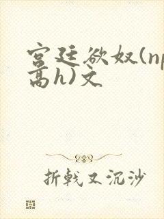 宫廷欲奴(np高h)文