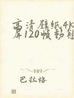 高清壁纸4k全屏120帧动态壁纸