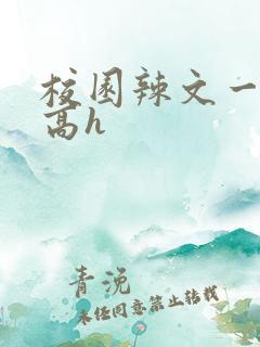 校园辣文一对一高h