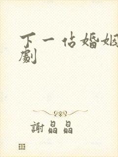 下一站婚姻连续剧