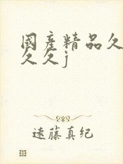 国产精品久久久久久j