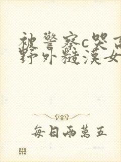 被警察c哭高h野外糙汉女女