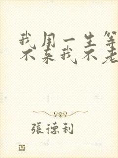 我用一生等你你不来我不老