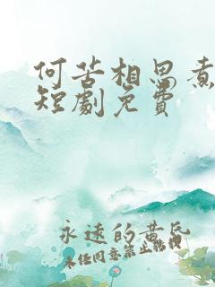 何苦相思煮余年短剧免费