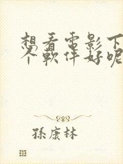 想看电影下载那个软件好呢