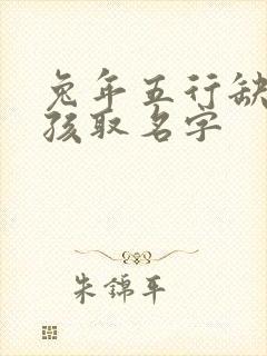 兔年五行缺金男孩取名字