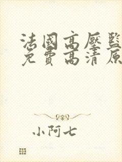 法国高压监狱二免费高清原声满天星