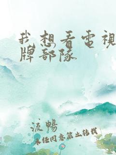 我想看电视剧王牌部队