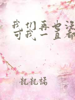 我们再也没见过可我一直都记得是什么歌