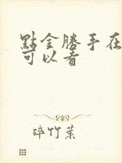 点金胜手在哪里可以看