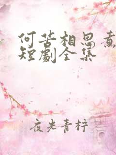 何苦相思煮余年短剧全集