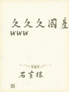久久久国产精品www