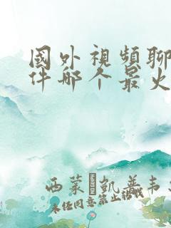 国外视频聊天软件哪个最火