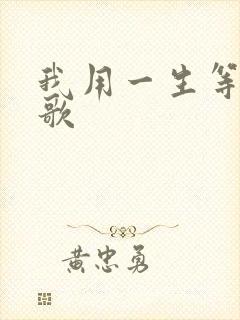 我用一生等你啥歌