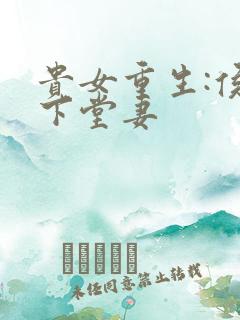 贵女重生:侯府下堂妻