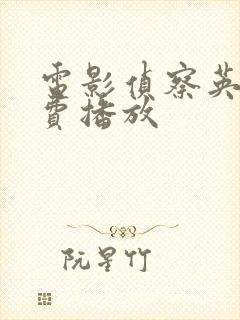 电影侦察英雄免费播放