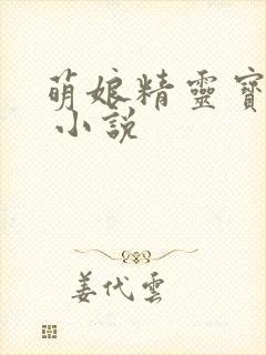 萌娘精灵宝可梦 小说