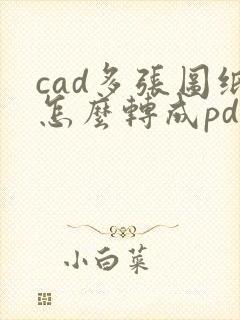 cad多张图纸怎么转成pdf