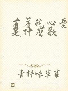 有着我心爱的她是什么歌